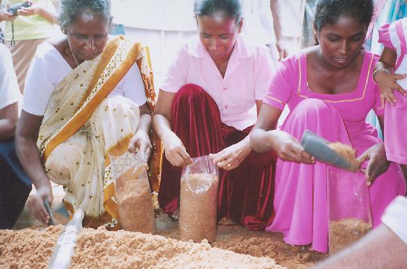 Mushroom cultivation training